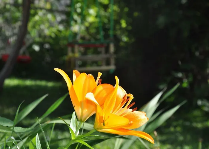 Sapareva Kashta * Sapareva Banya